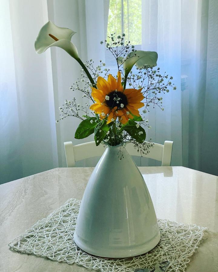 “il Sogno” *